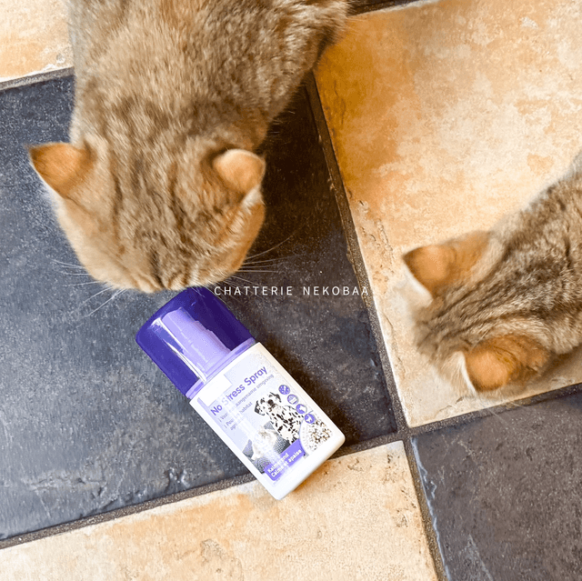 Spray valériane 