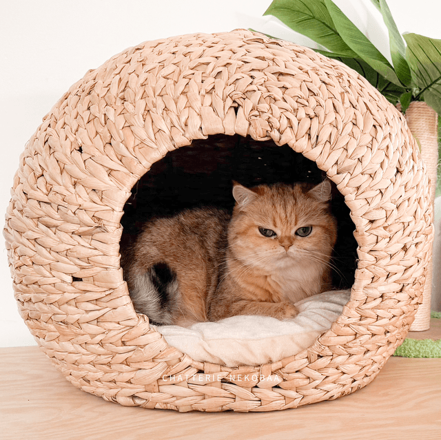 Igloo pour chat en fibres naturelles